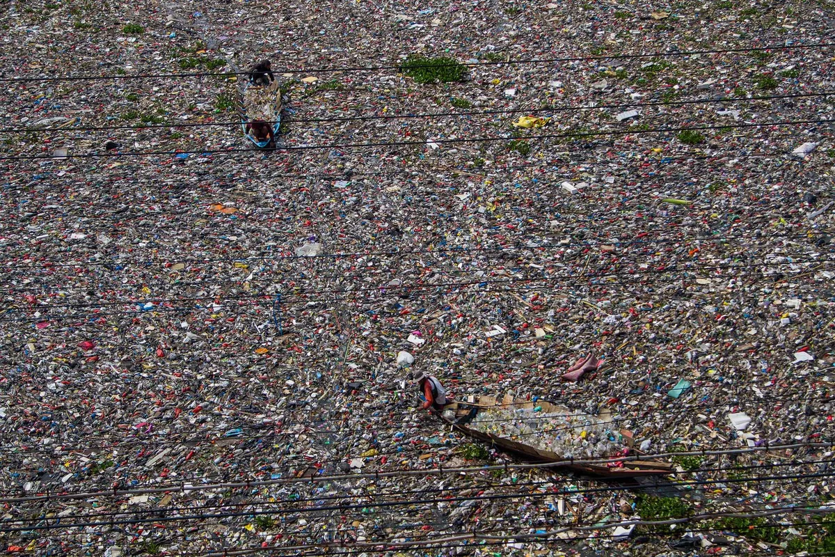 hựa phân hủy sinh học1