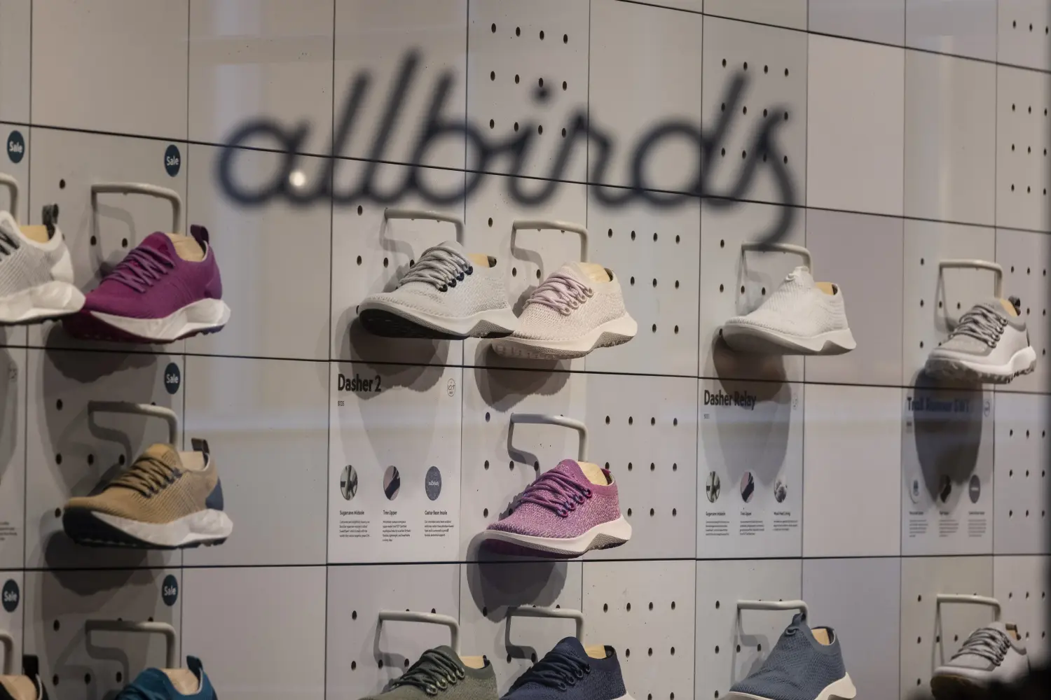 Allbirds “lột xác” sang AI, cổ phiếu bùng nổ và tăng 582%