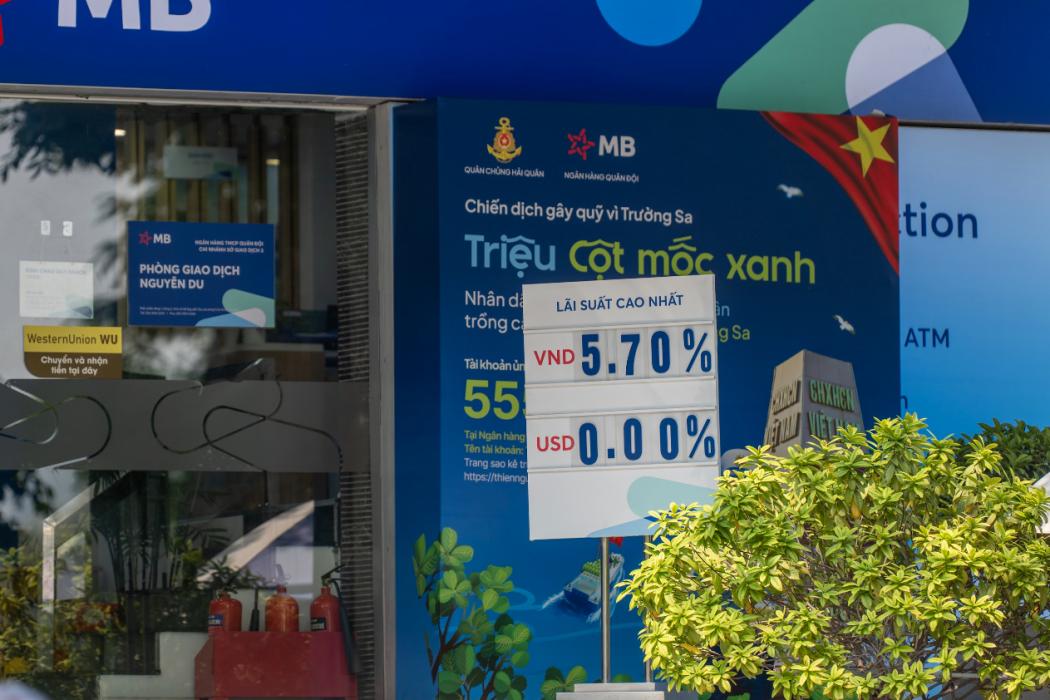 Hình ảnh: Nguyễn Hoàng Việt 