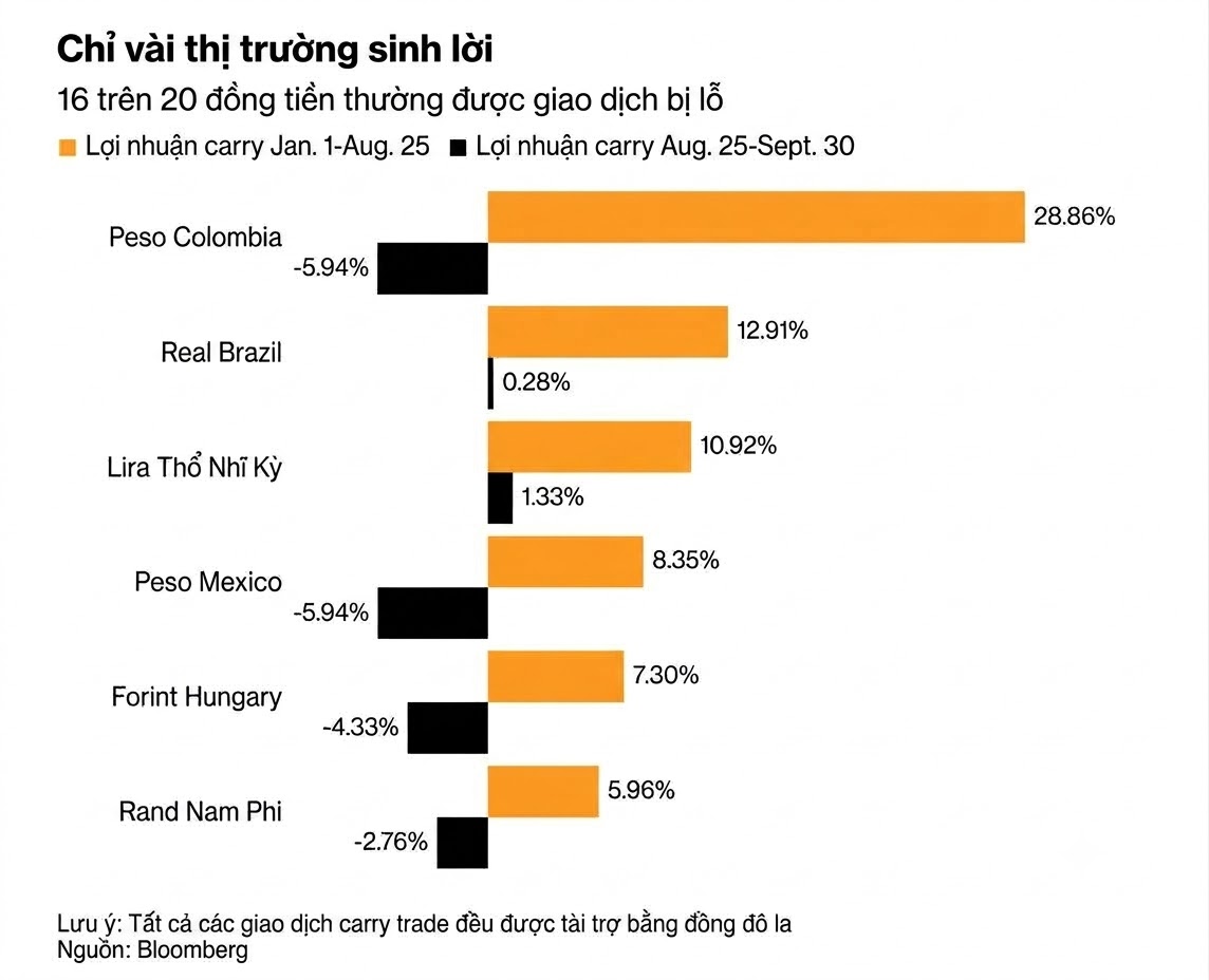 it thi truong carry loi