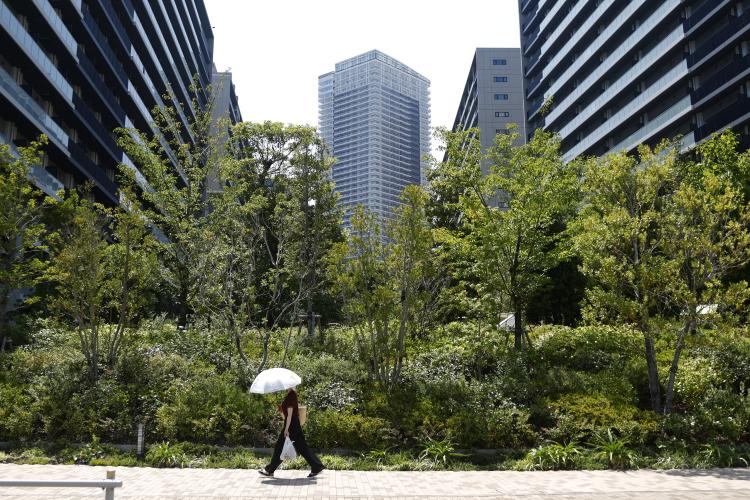 Hình ảnh: Kiyoshi Ota/Bloomberg