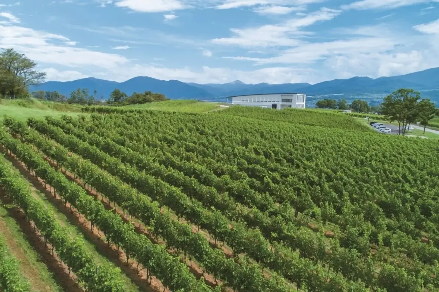 "Thung lũng Napa" của Nhật có gì hay?
