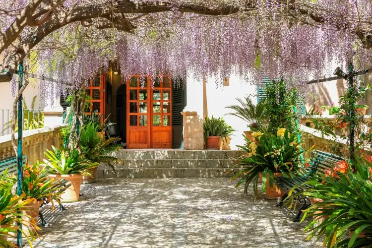 Khách sạn The Jardines de Alfabia trên đỉnh Bunyola Nguồn: The Jardines de Alfaba
