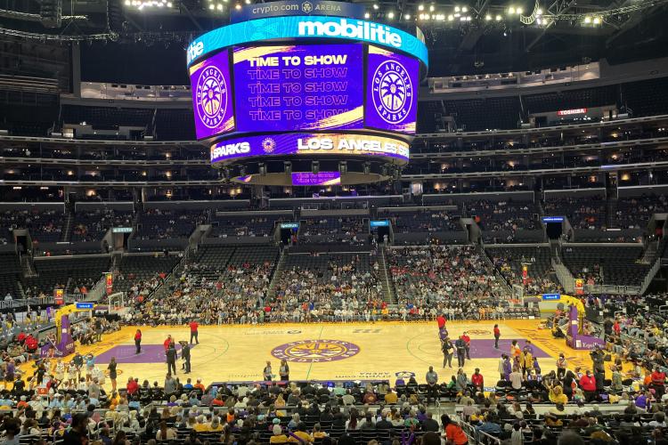 Một trận đấu cuả  Los Angeles Sparks Ảnh: Benoît Prieur