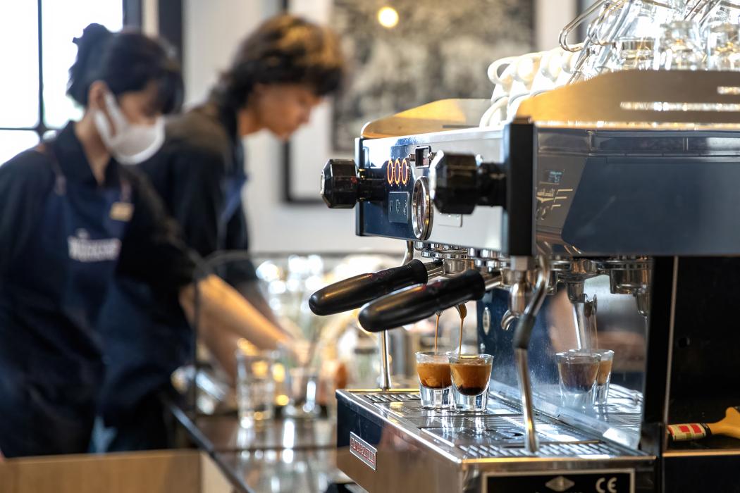 Hình ảnh: Maika Elan 