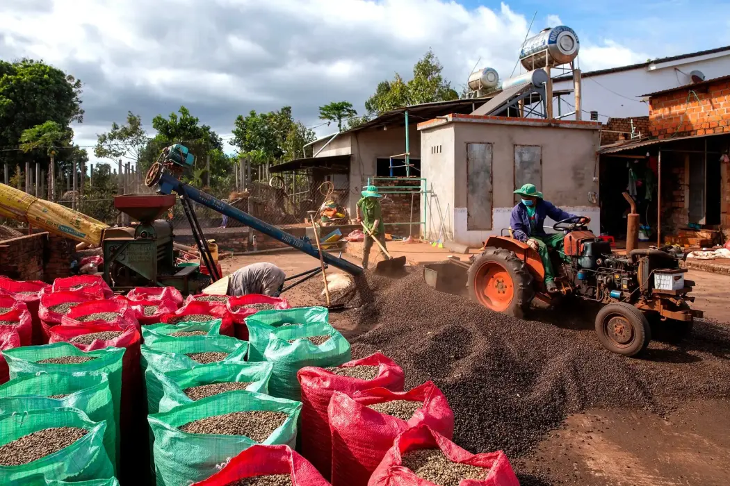 Giá cà phê tăng mạnh, thị trường năng lượng giảm nhiệt