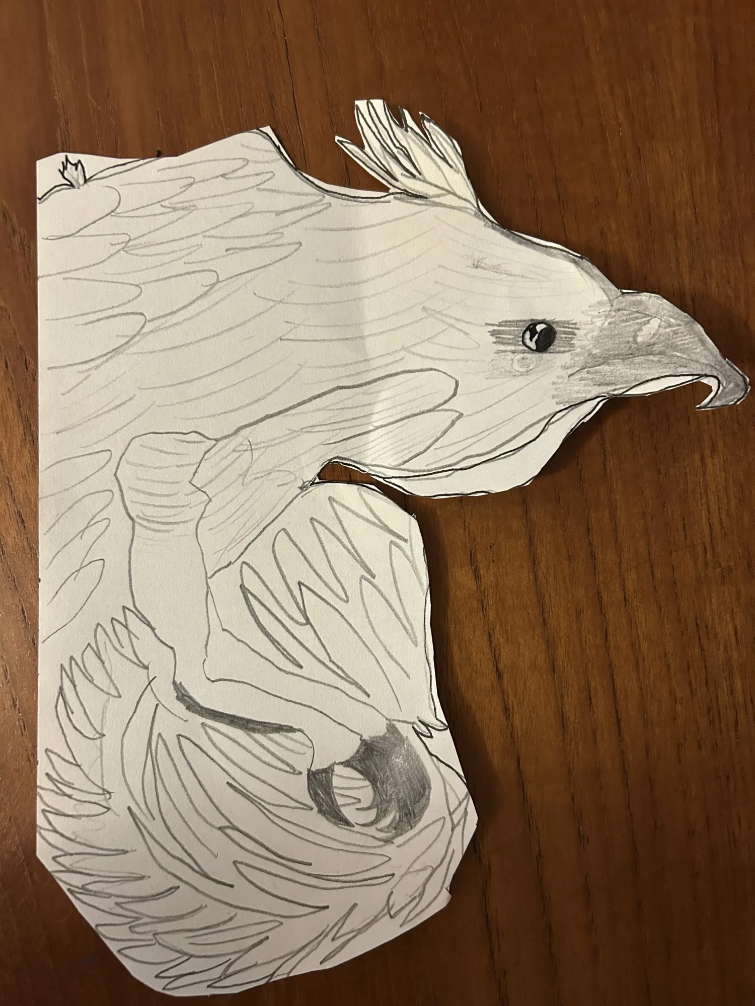 Not Picasso