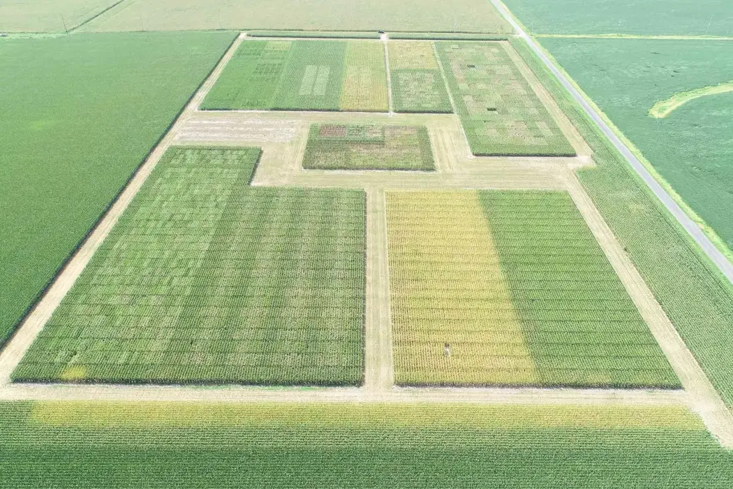 Cánh đồng ở Jerseyville, Illinois, nơi  Bayer thử nghiệm phân bón thay thế. Nguồn: Bayer 