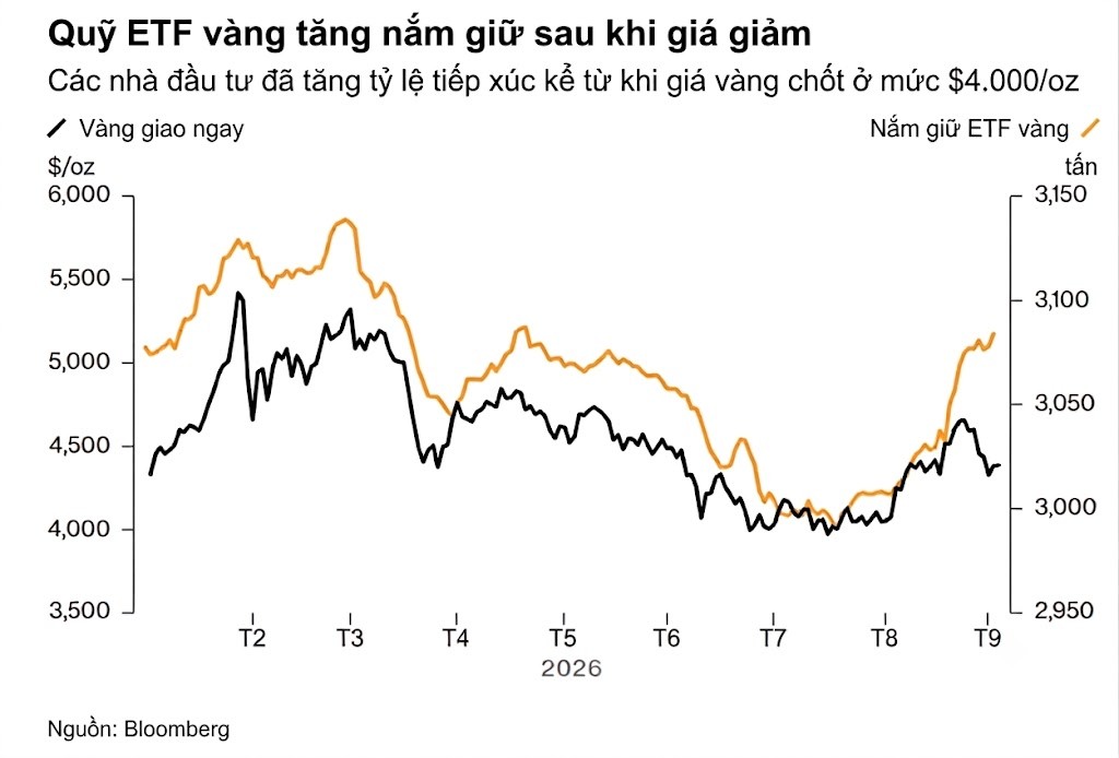 quy ETF vang1a