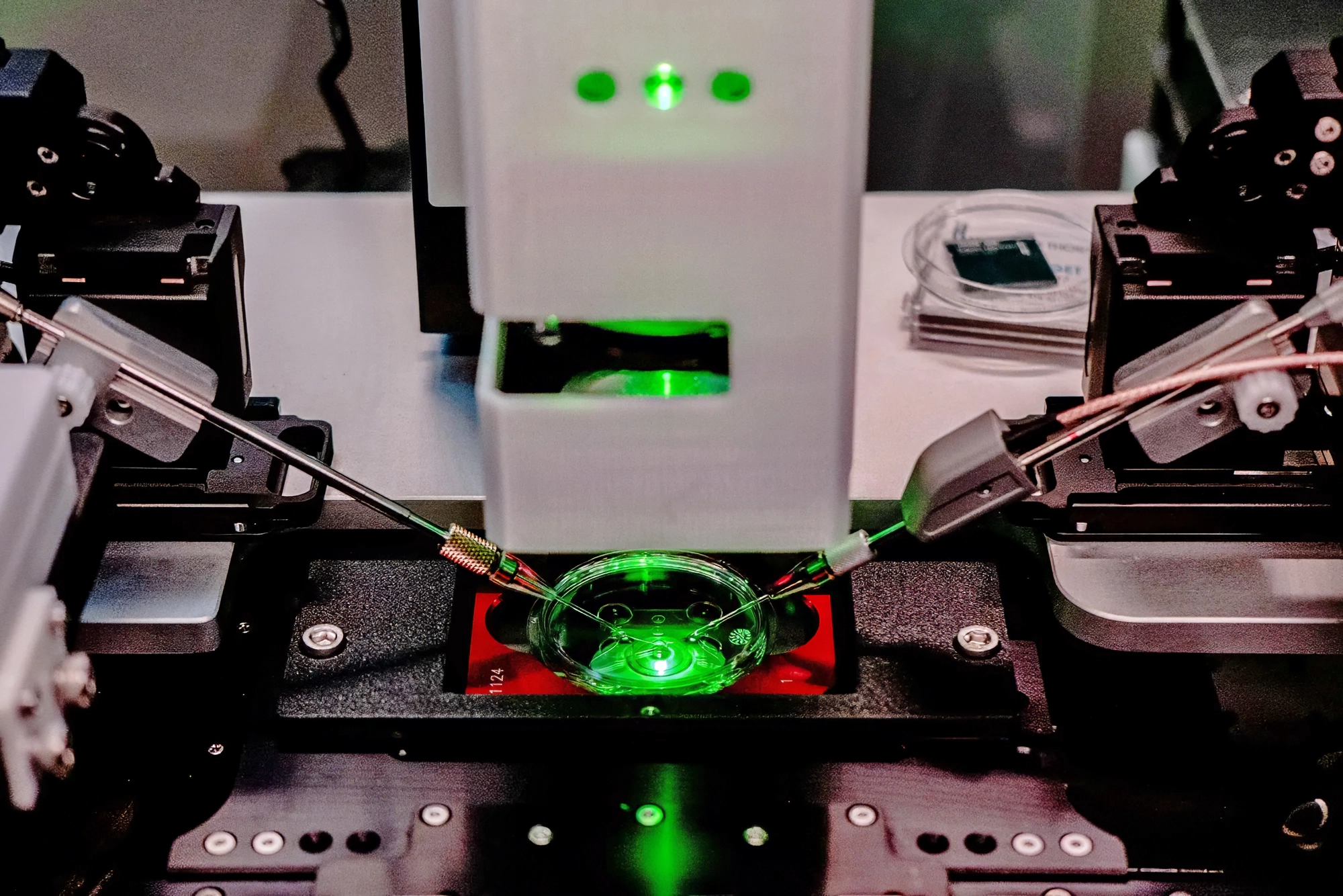 Robotic 01_Fred Ramon_Bloomberg