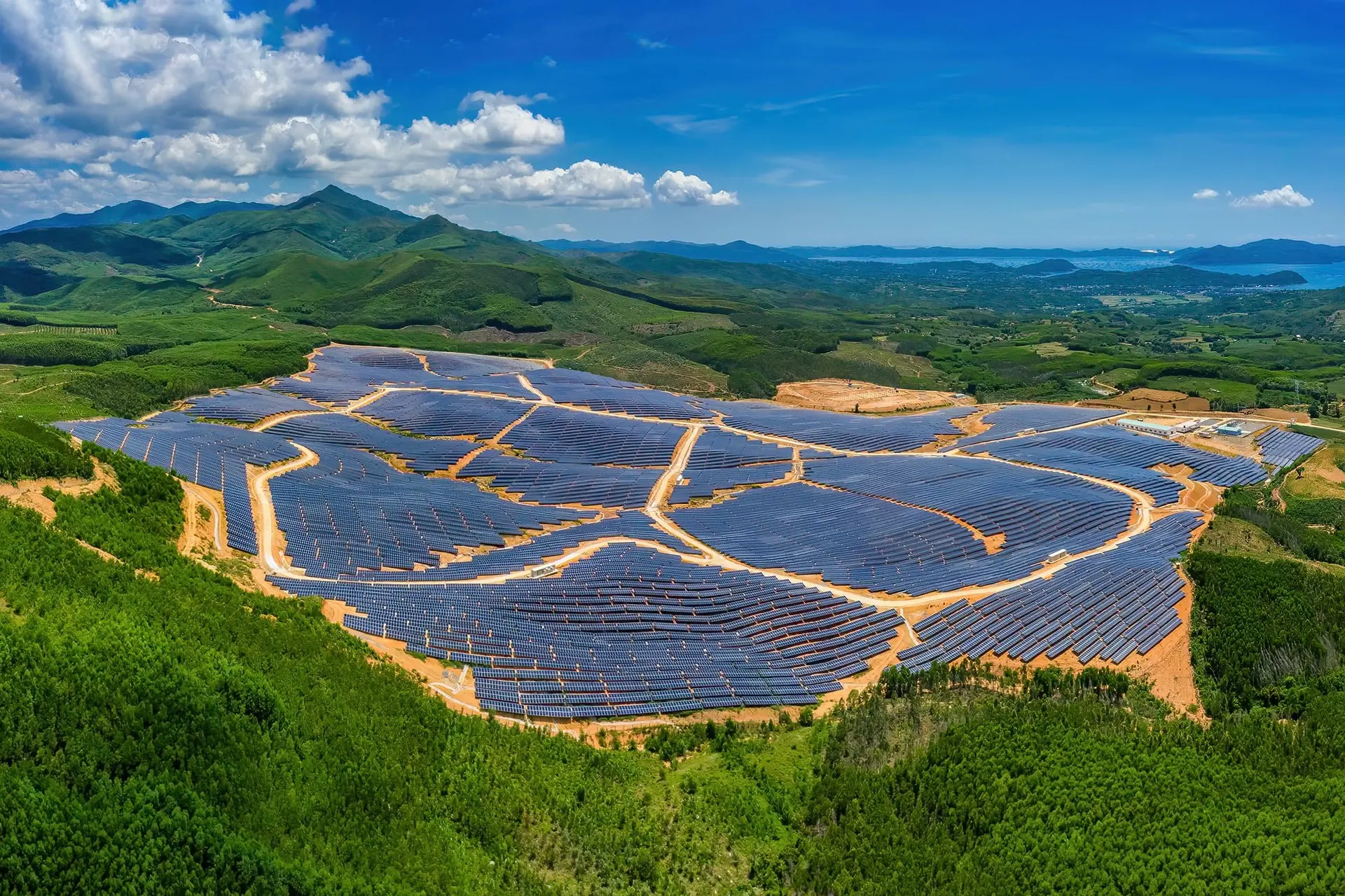 Hình ảnh: Nguyễn Quang Ngọc/ Shutterstock 