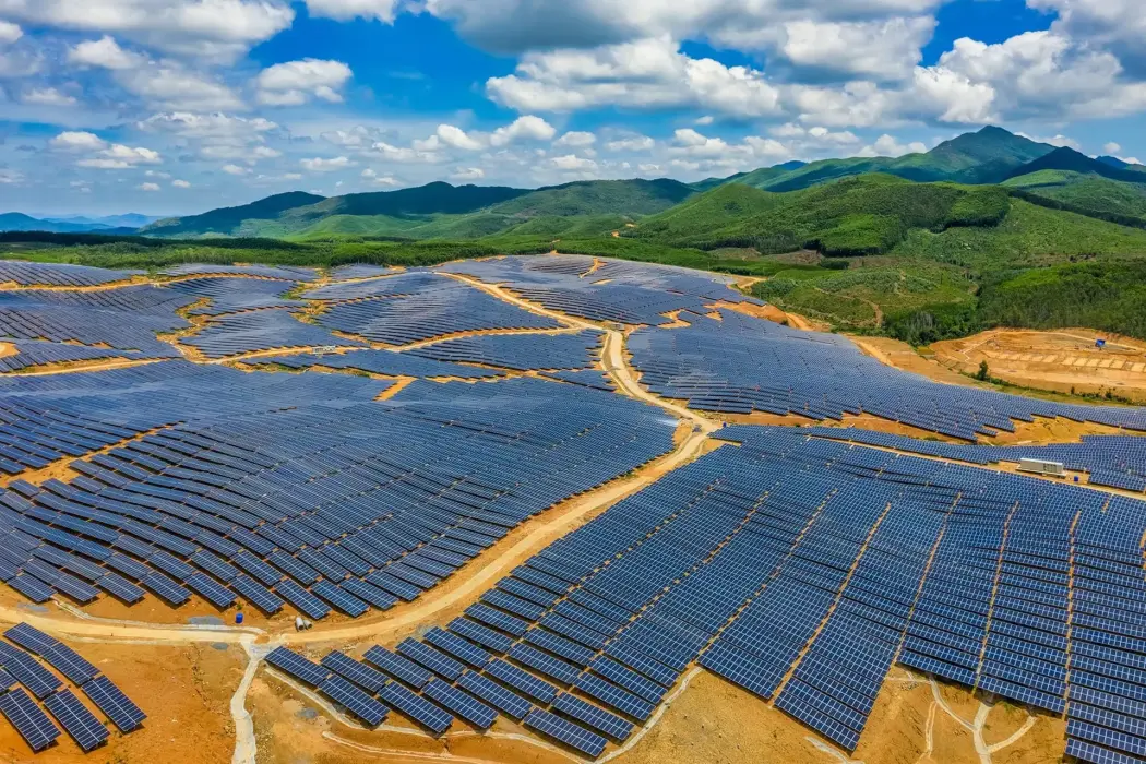 Hình ảnh: Nguyễn Quang Ngọc / Shutterstock