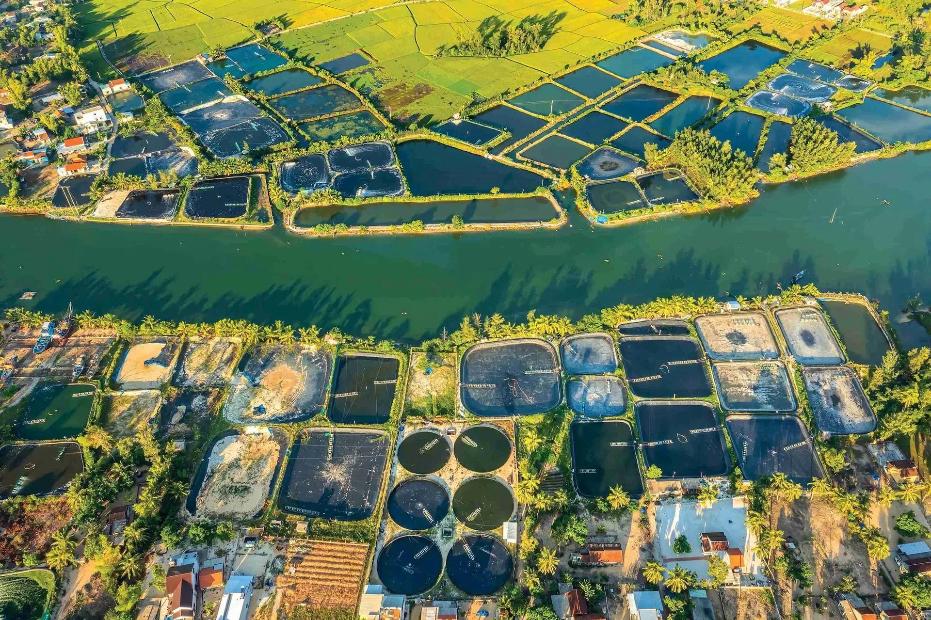 shutterstock_2234649661