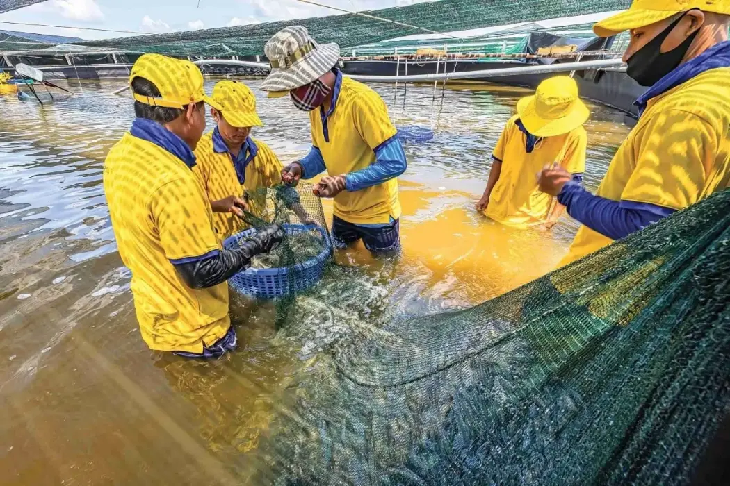 Ngành tôm trước hai gọng kìm