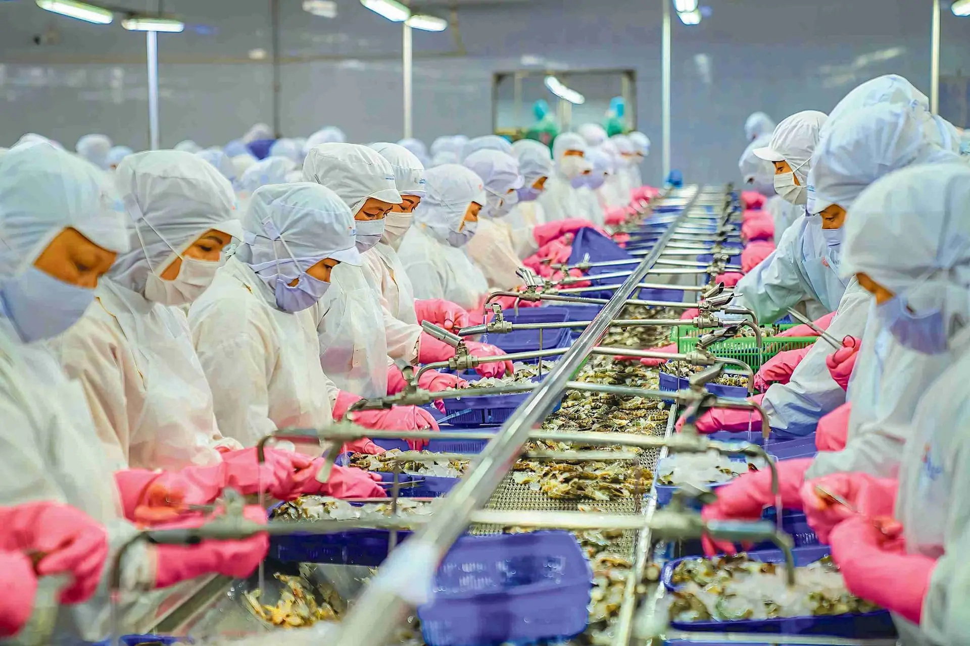 shutterstock_2398124475