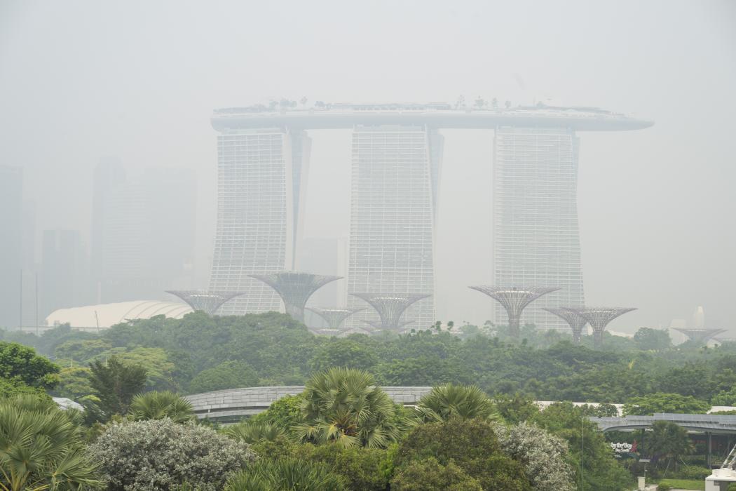 Singapore điều tra các công ty dính dáng vụ cháy gây khói mù từ Indonesia