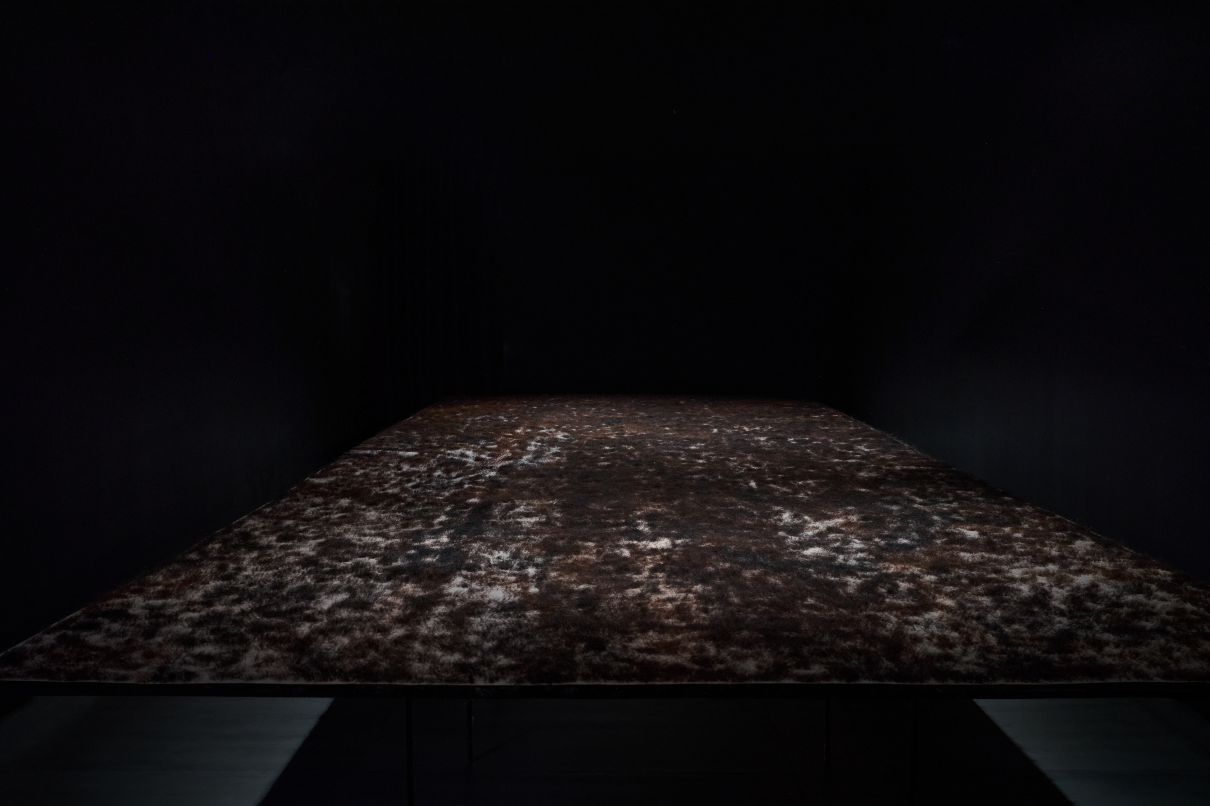 SMS08661%20%281%29%20%281%29