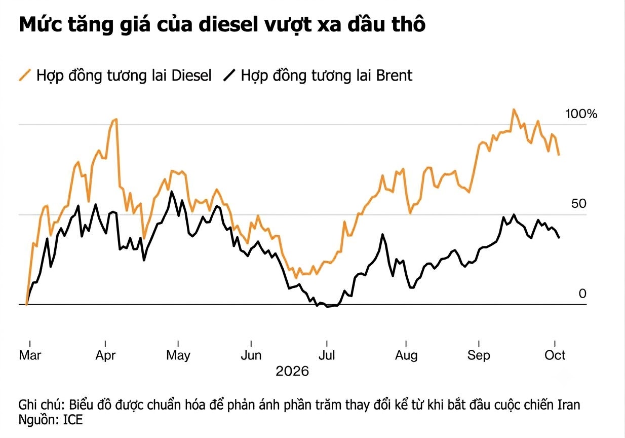 tang gia dau diesel