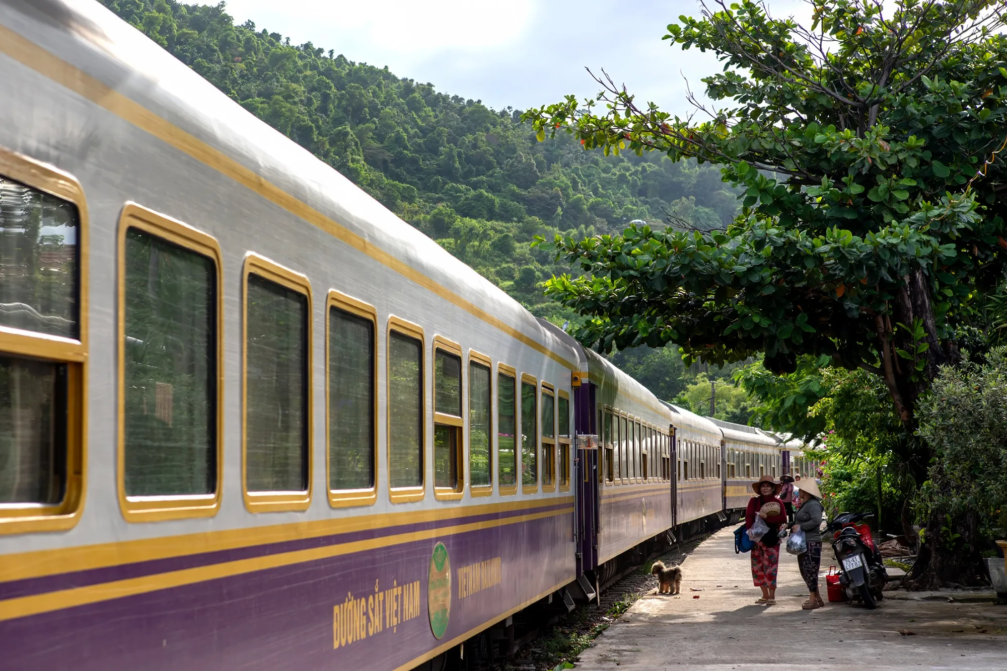 tàu hoả viet nam