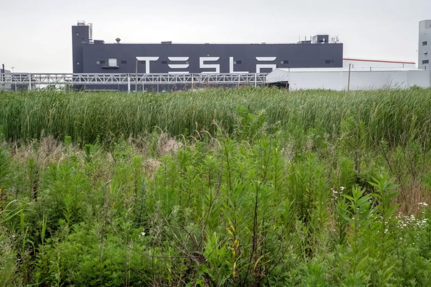 Tesla bắt đầu giảm biên chế tại nhà máy ở Trung Quốc