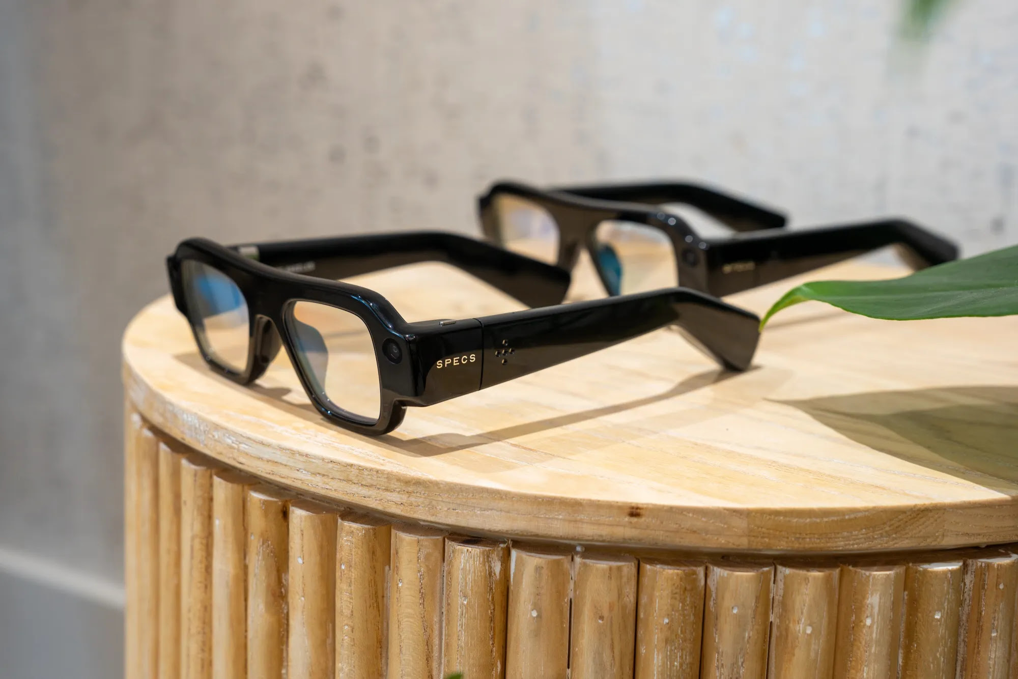 the Specs -1