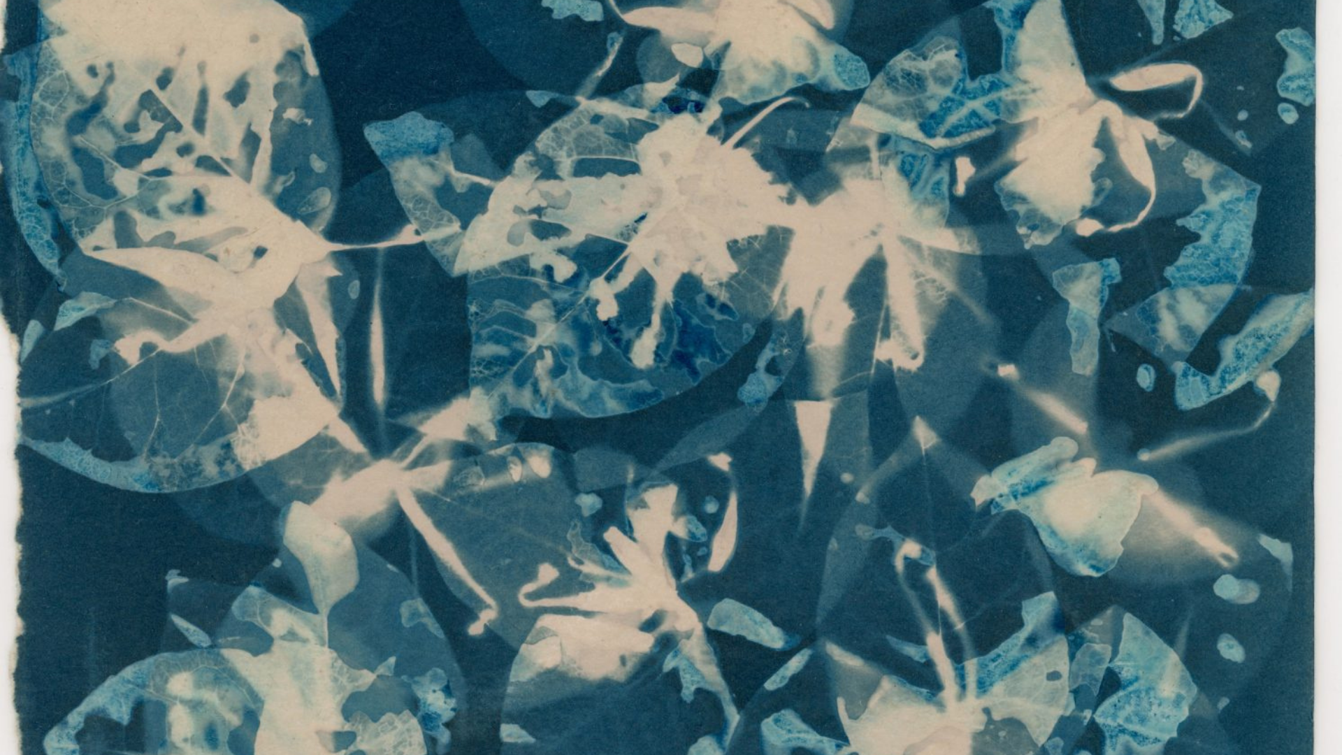 Thie%CC%82%CC%81t%20ke%CC%82%CC%81%20chu%CC%9Ba%20co%CC%81%20te%CC%82n (1)