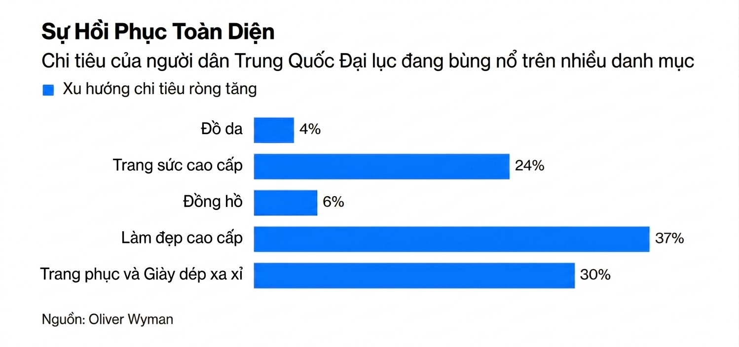 TQ luxury 2026 chart