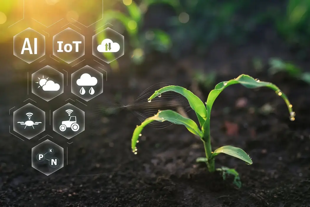 Hình ảnh: Shutterstock