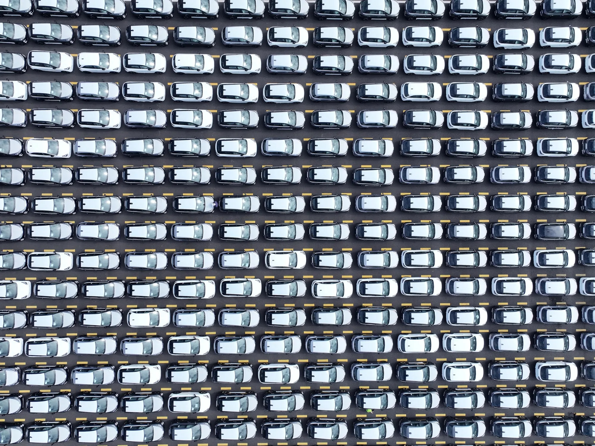 unnamed (20)