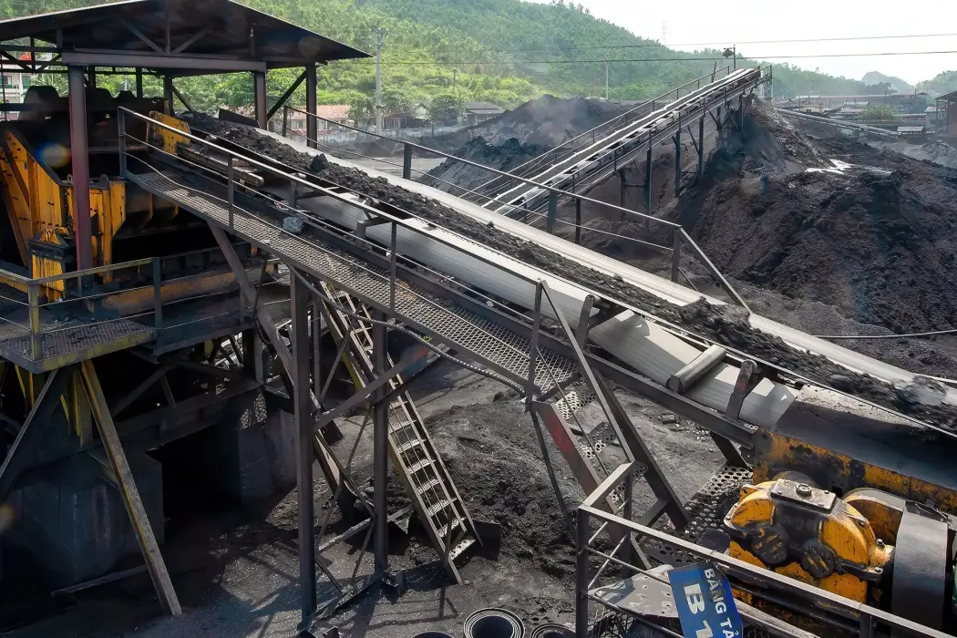 Hình ảnh: Shutterstock 