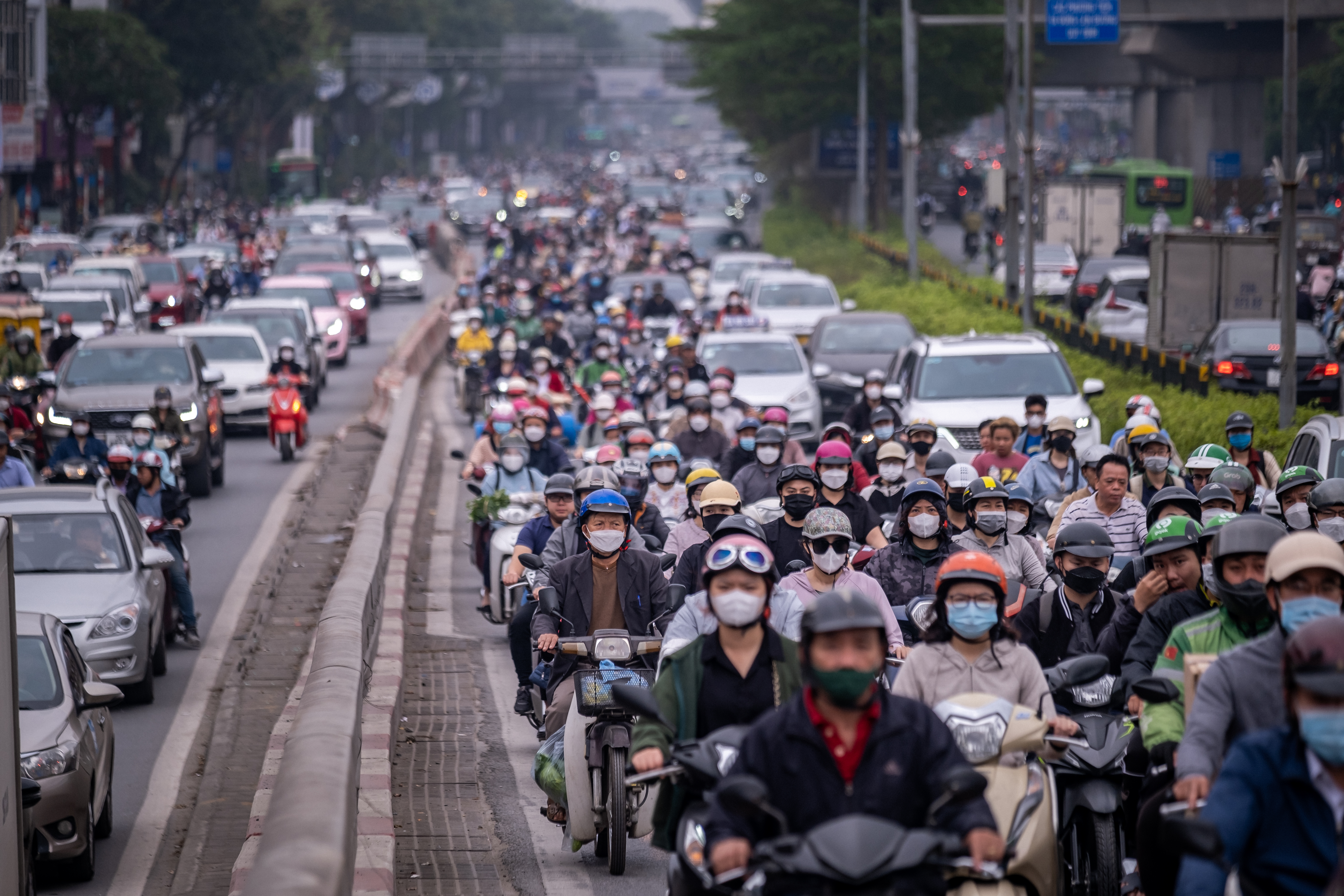 Vietnam export Linh Pham