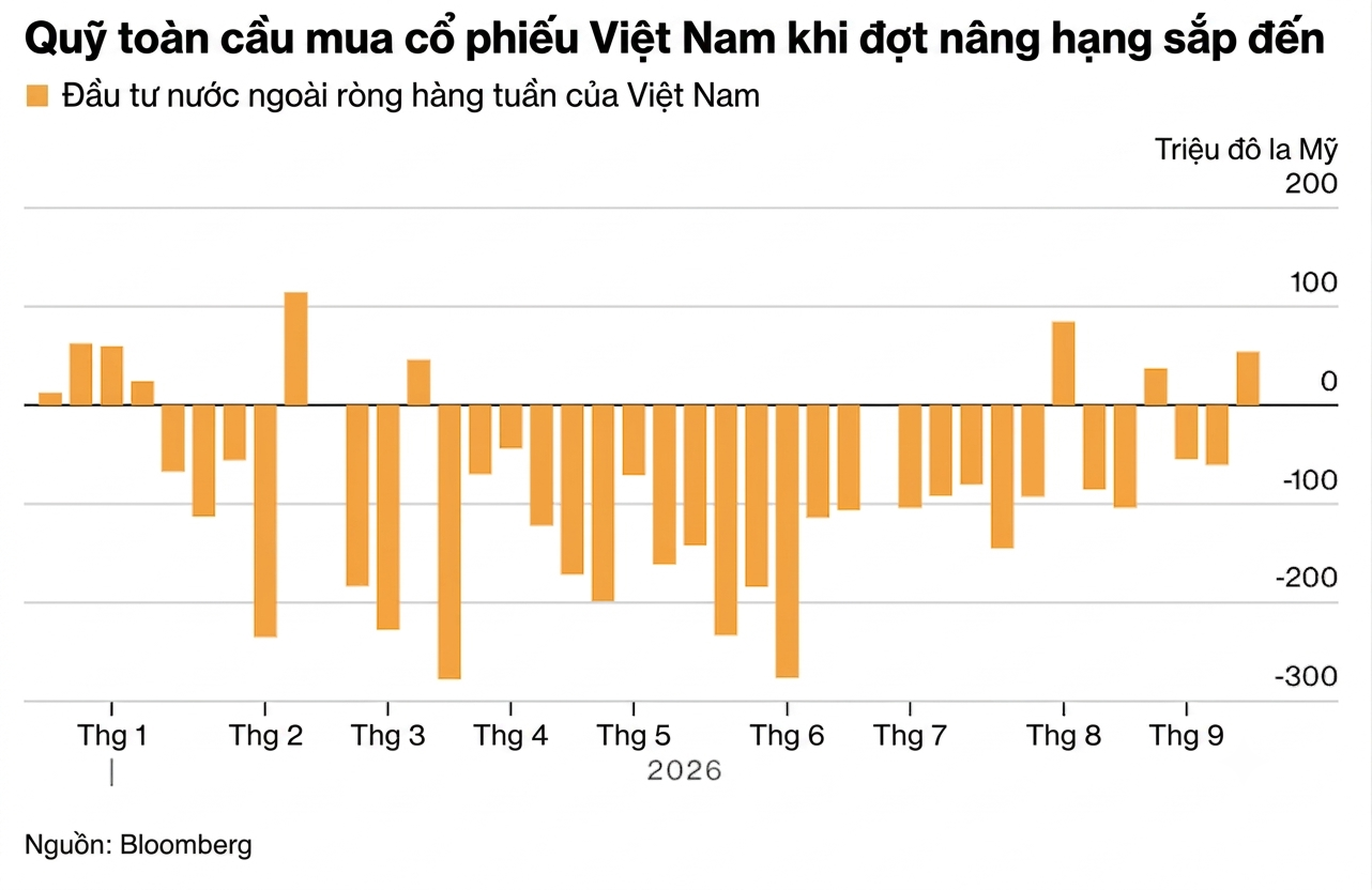 Vietnam stock