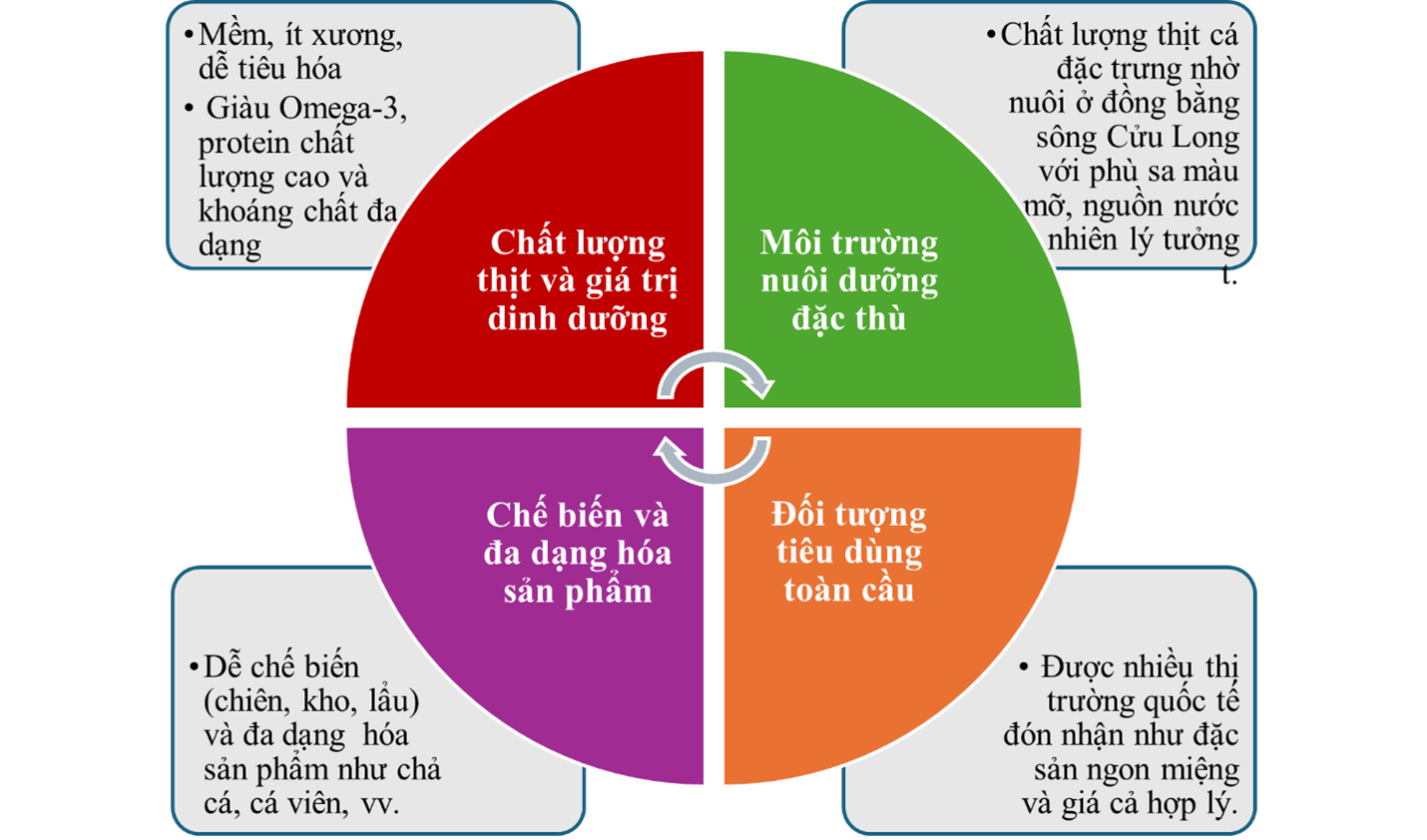 Vinh hoan gia tri cot loi