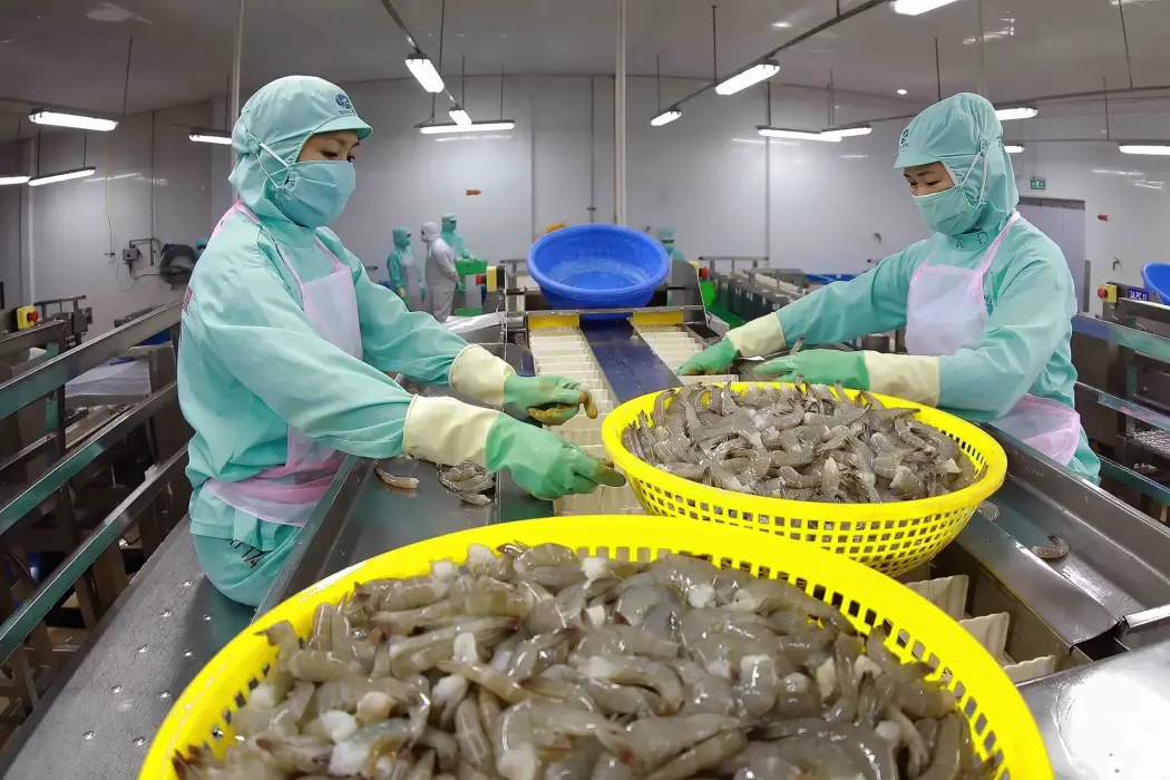Sản phẩm tôm đông lạnh xuất khẩu của Tập đoàn thuỷ sản Minh Phú. Hình ảnh: Vũ Sinh - TTXVN 