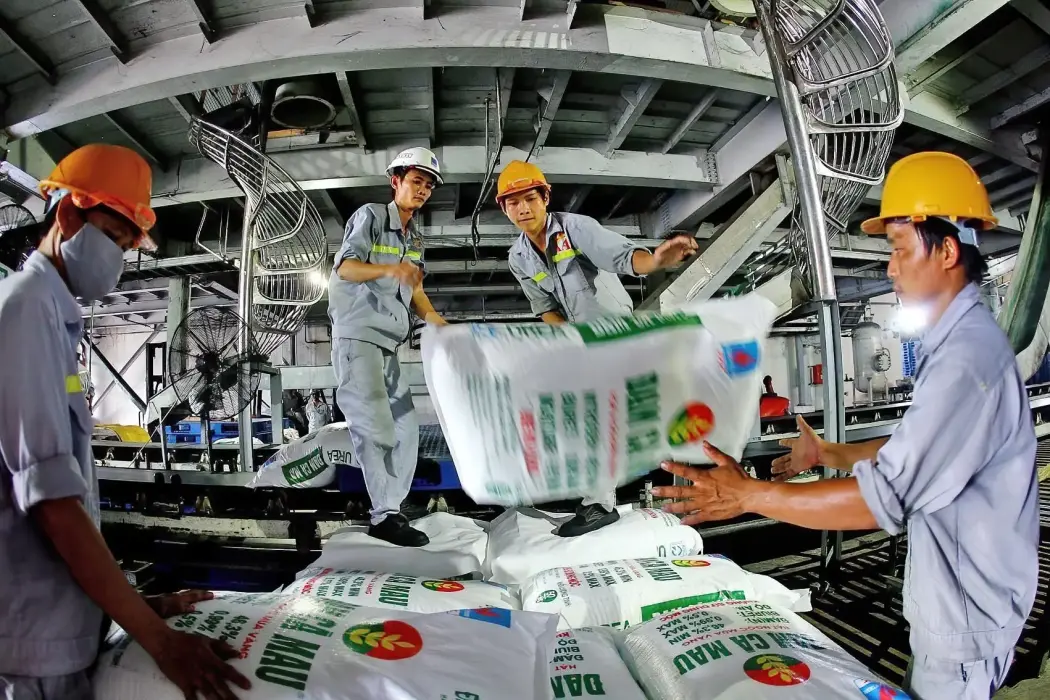 Bốc xếp sản phẩm đạm tại Công ty cổ phần phân bón dầu khí Cà Mau. Hình ảnh: Huy Hùng - TTXVN 