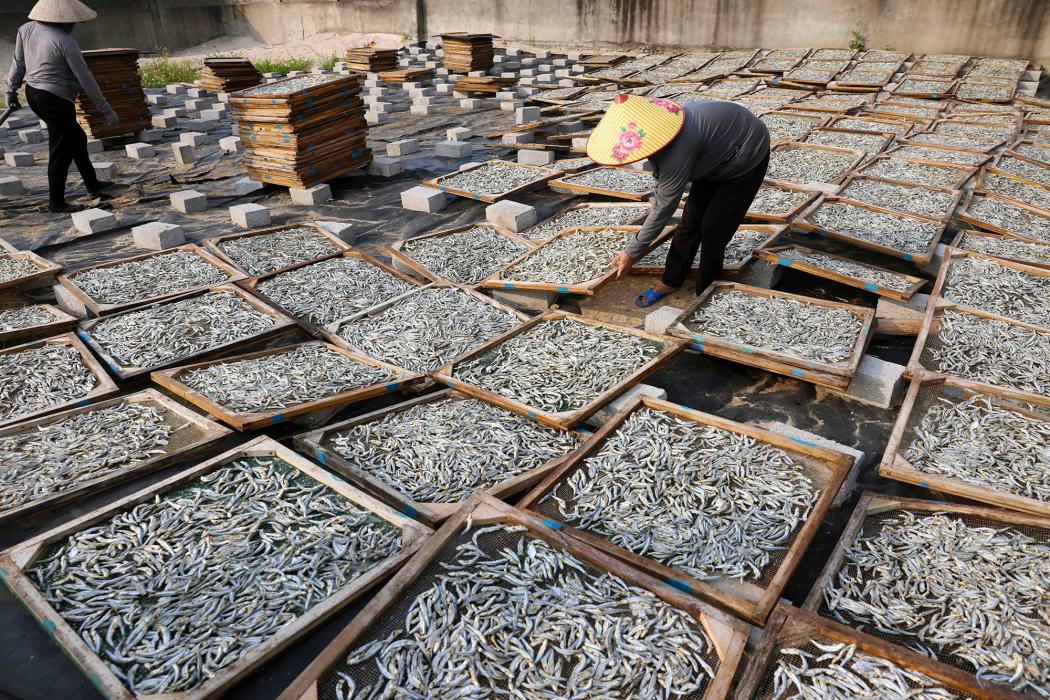 Quảng Trị phát triển sản phẩm OCOP trong hợp tác xã. Hình ảnh: TTXVN 