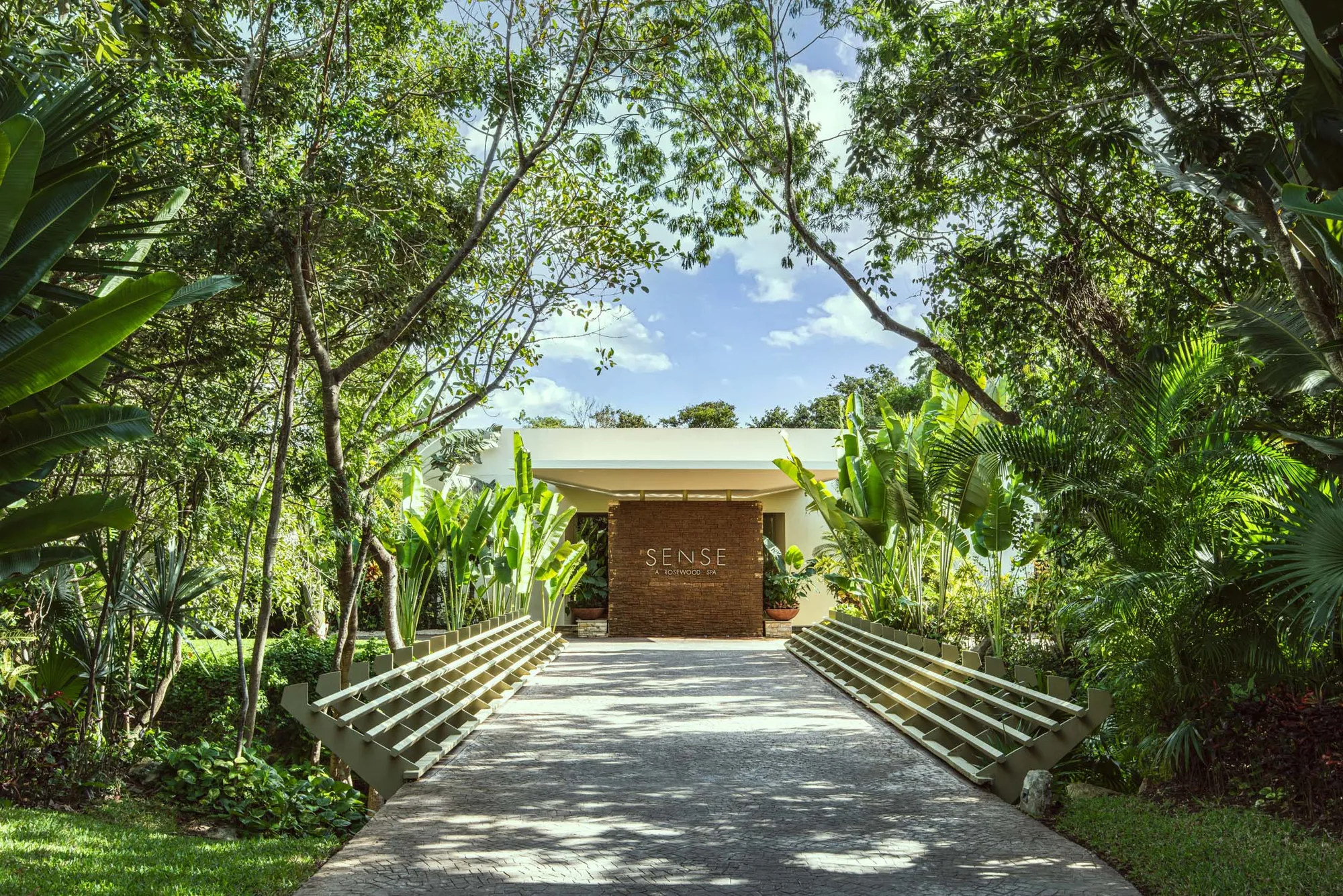 Wellness 02