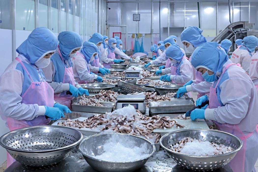 Xuất khẩu thủy sản Việt Nam tăng 13% trong tháng 1.2026